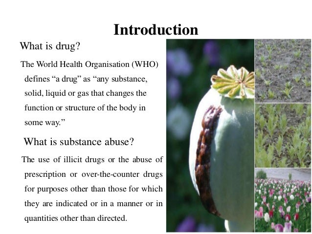 drugs essay introduction Drug trafficking is one of the most serious problems for most countries all over the world unfortunately, this type of business is rather profitable, if not to. drugs essay introduction Drug trafficking is one of the most serious problems for most countries all over the world unfortunately, this type of business is rather profitable, if not to.